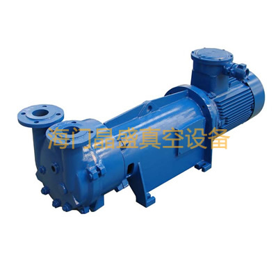 2BV水環式真空泵